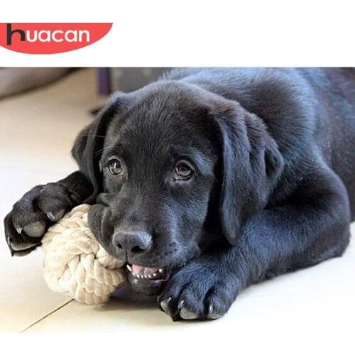 HUACAN 5d Diamond Painting Black Dog Diamond Art Mosaic Embroidery Pet Animal Hobby Crystal Wall Decor