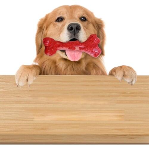 Pet Dog Toy Supplies Chews Toys Leather Cowhide Bone Molar Teeth Clean Stick Food Treats Dogs Bones for Puppy Accessories