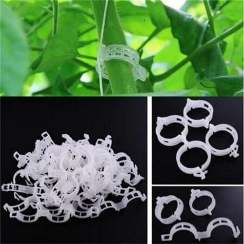 100Pcs Plant Clip Vine Plastic Fixing Clip Vegetable Fixing Clips Garden Greenhouse Fruit Tied Buckle Lashing Hook Fixed Clips