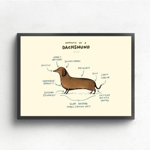 MT1968 Anatomy of Dachshund Chart Poster Painting Art Poster Print Canvas Home Decor Picture Wall Print