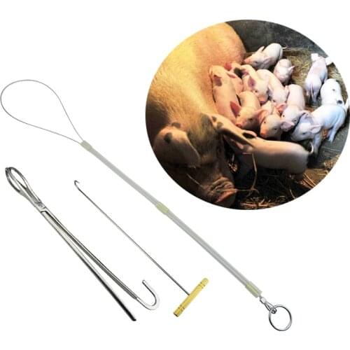 Livestock Pig delivery toolkit midwifery 3 sets hook Pliers rope Farm tools for pig sheep Practical Equipments