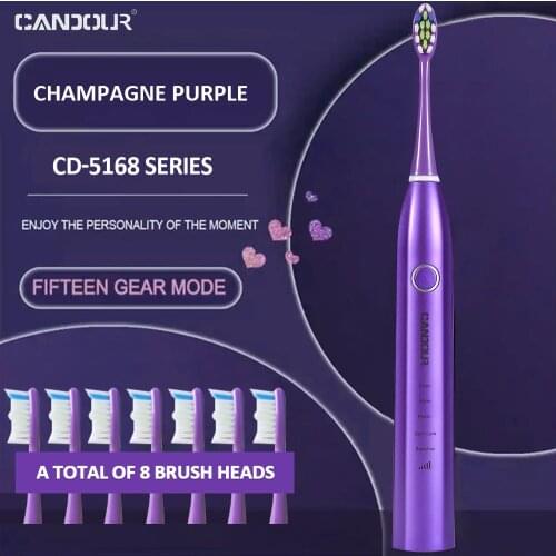 CANDOUR Electric Toothbrush Rechargeable sonic Toothbrush with Adult IPX8 Waterproof USB Toothbrush USB Charge Teeth Brush