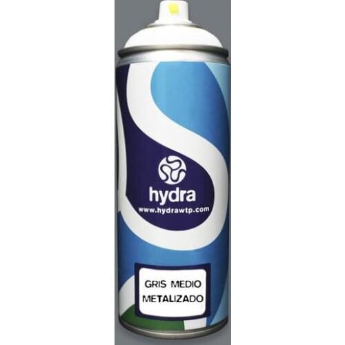 Spray Paint Bottle 400ml Spray for hydroprinting gray medium metallic