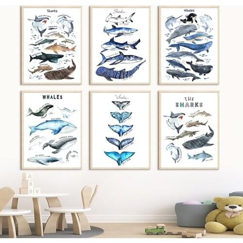 Whales Shark Ocean Animals Nordic Child Education Posters And Prints Art Canvas Painting Wall Pictures For Baby Kids Room Decor