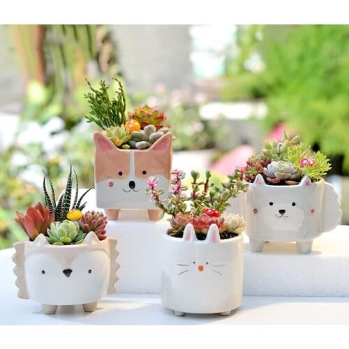 RBCFHl 1PC Succulent Ceramic Flowerpot Hedgehog Puppy Cute Animal Flower Pot Creative Mini Garden Bedroom Desktop Birthday Gift