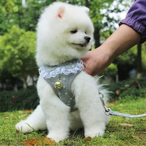 Cute Vest Harness with Lead Leash and Bells for Dogs Pupply Cat Harness Breathable Pet Dog Chest Strap Pomeranian Poodle Corgi