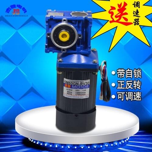 AC 220V 60W slowdown motor single-phase motor RV30 pan pot rod deceleration small motor