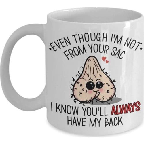 Ceramic Mug for Fathers Day Gift Even Though I'm Not From Your Sack Mug Funny Coffee Tea Cup 350ml UD88