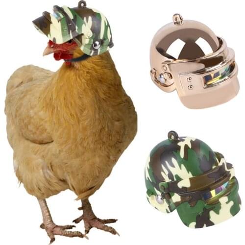Pet Chicken Helmet Bird Chick Duck Quail Hard Hat Head Protection Headgear Headwear Supply