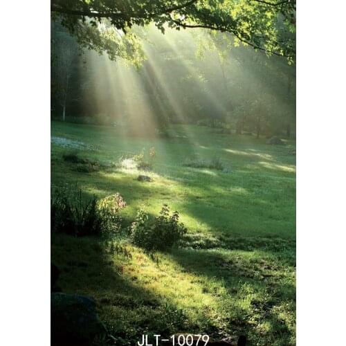 Customized Safari Birthday Party Photography Backdrops Props Children Baby PhotoShoot Background for Photo Studio