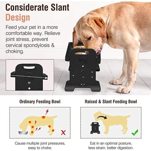 Anti-Slip Elevated Double Dog Bowls Adjustable Height Pet Feeding Dish Feeder Q0KA