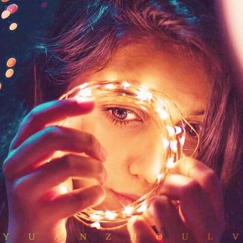 Fairy Light String Battery Powered USB Waterproof 1/3/5/10 M String Light Firefly Holiday Light Strip New Year' Gift Decor Lamp