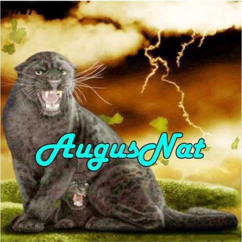 5d full square diamond painting panther diamond embroidery animals daimand mosaic pictures diamand paint stickers leopard new