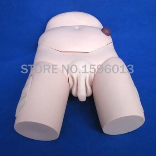 Male Catheterization Model with Organs in Abdomen,Urethral Catheterization Training Simulator with IM Injection