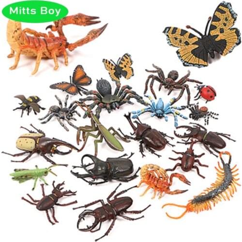 New Simulation Animal Insect Model Mini Animal Centipede Scorpion Butterfly Growth Cycle Ornaments Kid Cognitive Educational Toy