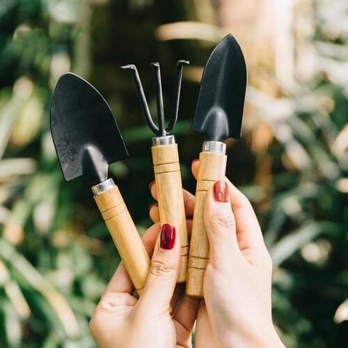 Potted Small Shovel For Planting Flowers And Gardening Tools For Planting Fleshy Tool Set Mini Three-piece Household Shovel