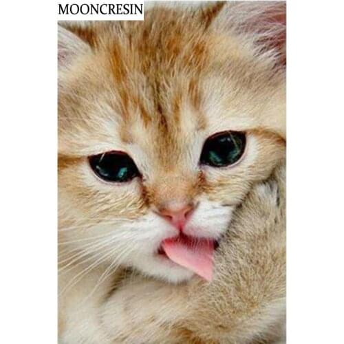 MOONCRESIN 5D Diamond Embroidery Hot Sale Diamond Mosaic Diy Diamond Painting Cat Animal Decoration Home Picture Of Rhinestones