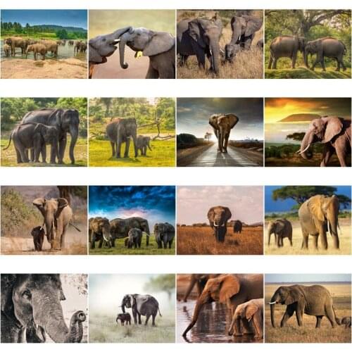 Full Square Round Diamond Painting Elephant Embroidery New Animal Full 5D Diamond Cross Stitch Home Decoration Handmade Products