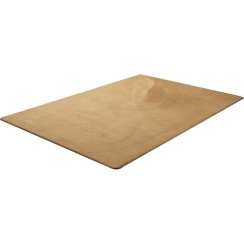Rectangular Velvet Floor Mat, Non-Slip Material, Very Suitable for Use As a Carpet in the Living Room or Bedroom
