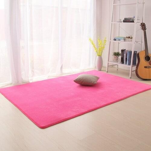 Zeegle Coral Fleece Large Carpets For Living Room Anti-slip Home Great Room Rugs Ding Room Parlor Area Rugs Bedroom Bedside Mats