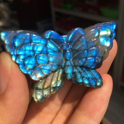 Very rare rich natural gems carved labradorite blue butterfly