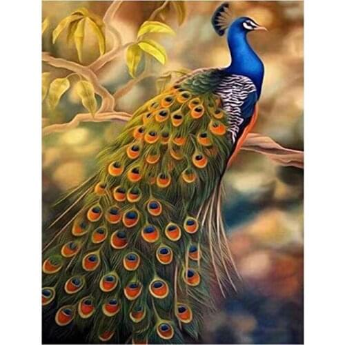 Adult Paint By Number Kits on Canvas 16X20 Inch DIY Acrylic Painting Kit for Kids & Adults Beginner - Peacock