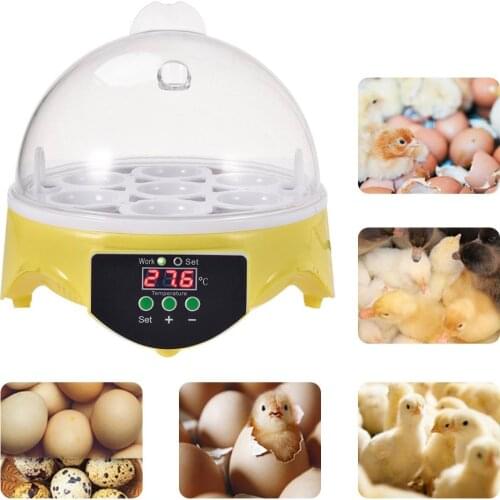 Mini 7 Egg Incubator Poultry Incubator Brooder Digital Temperature Farm Hatchery Egg Incubator Chicken Duck Bird Pigeon Hatcher
