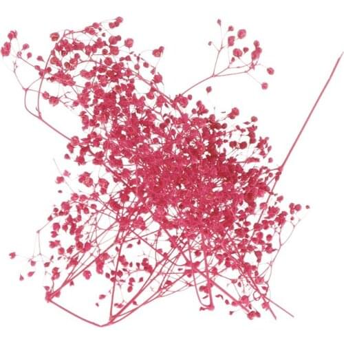 1 Box Filling Flower Dry Handmade Flowers DIY Epoxy Resin Filler Crafts Silicone Molds Tools Crystal UV Accessories Decoration