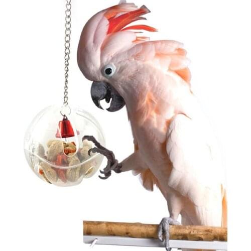 Birds Toys Parrots Ball Toys Hanging Feeder Ball With Chain Cage Pendant Birds Intelligence Foraging Ball Toys Supplies