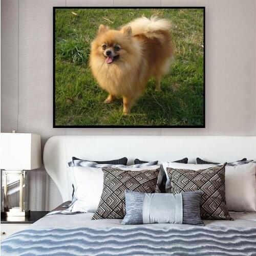Diamond Embroidery Pomeranian 5D Diy Diamond Painting Full square /Round Drill Rhinestones Mosaic DIY Handmade Wall Decor FG1105