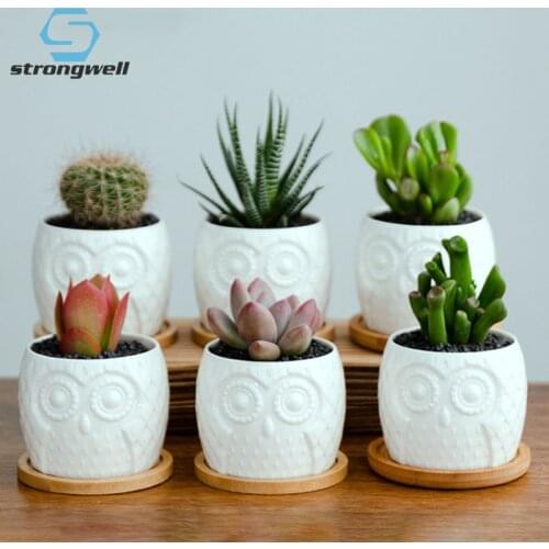 Strongwell Home Decoration MIniature Model Ceramic Owl Flower Pot Cartoon Animal Figurines Desktop Decoration Planter Artware
