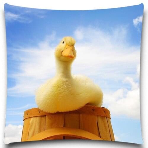 Animal series Yellow duck On a wooden barrel 2D print creative Pillow case Square cotton polyester cushion cover
