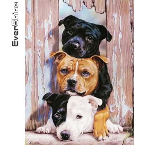 Evershine Diamond Embroidery Dog 5D DIY Full Square Round Diamond Painting Kit Picture Rhinestone Animal Mosaic Handmade Gift