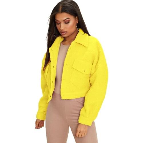 Teddy Coat Women Elegant Faux Fur Coat Autumn Winter Plush Thick Warm Bear Teddy Jacket Coat Female Casual Outerwear Overcoat