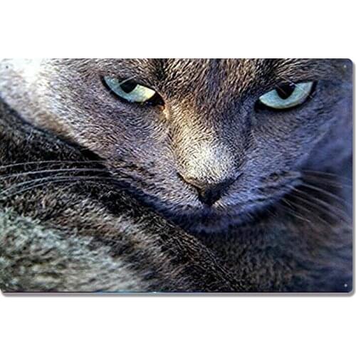 Cat Animal Metal Tin Signs Caveat Vintage Funny Home Gift Farm Bathroom Bar Pub Man Cave Animal Bedroom Courtyard Parlor