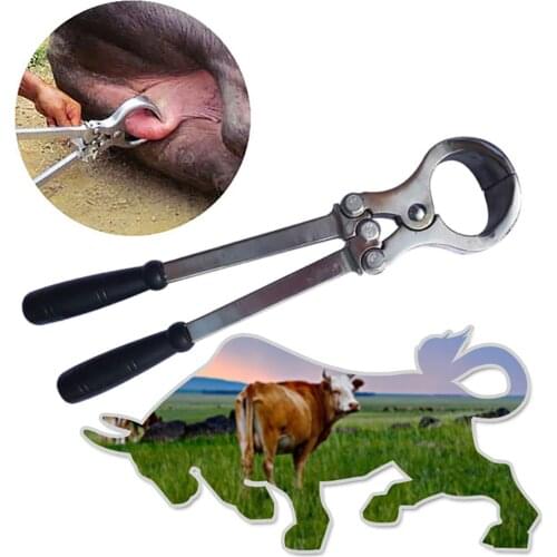 1PCS Cattle Bull Ox Bloodless Emasculation Castrate Clamp Burdizzo Castrator Emasculator Forcep Veterinary Instrument Stainless
