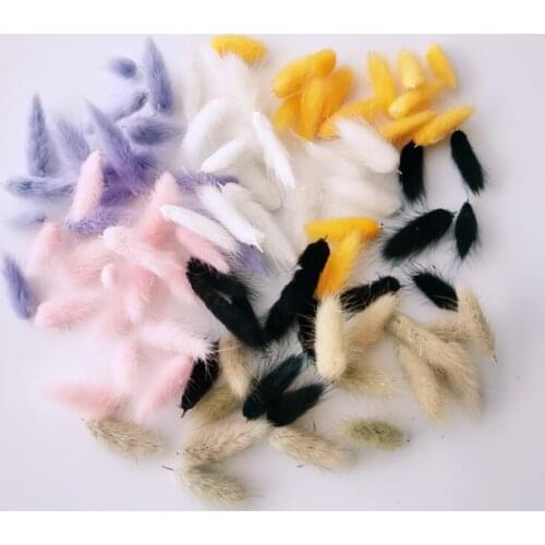 Natural Dried Bunny Tail Grass Head Flowers Wedding Accessories Deco Marriage Party Decoration DIY Materials Garten Dekoration