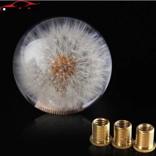 Real Dandelion Plant Car Gear Shift Knob Universal Vehicle AT/MT Shifter Lever Head M8X1.25/M10X1.25/M10X1.5 Adapter