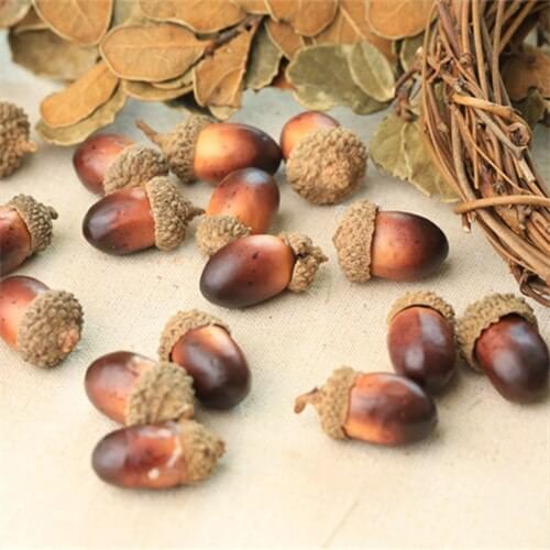 60 Pcs/lot Natural Oak Fruit for Shop Map Photo Shoot Props ZAKKA Forest Star Photography Retro Flower Decoration Free Shipping