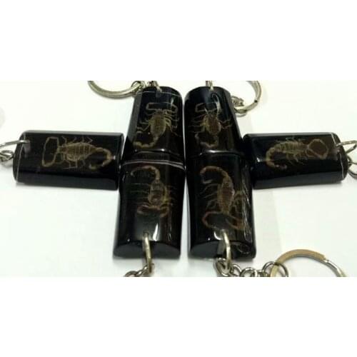 10 pcs Scorpion Insect Black Big Color KeyChain Taxidermy Display