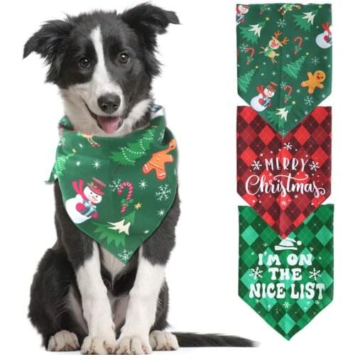 Andralyn Dog Accessories