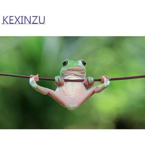 Kexinzu 5D DIY Full Square Round Diamond Painting Cross Stitch Animal Frog 3D Diamond Embroidery Mosaic Work Gift 01