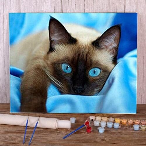 Cat Animal Coloring By Numbers Painting Package Oil Paints 40*50 Canvas Pictures Loft Wall Picture For Children Handiwork