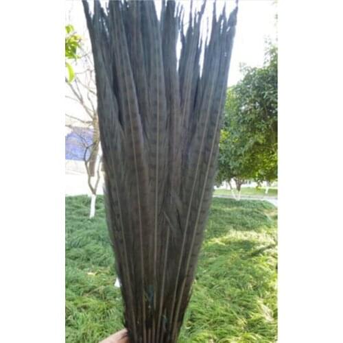 New! Black 50 pc pretty high quality bleached dyed pheasant tail feathers, 20-22 "/ 50-55cm, DIY jewelry decoration