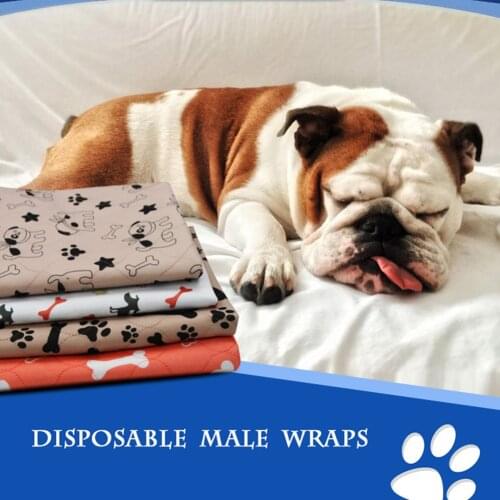 Reusable Pet Urine Pad Washable Dog Cat Diaper Mat 3 Layer Absorbent Dogs Diapers Pads Bone Paw Print For Sofa Bed Floor