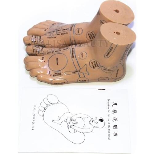 20cm Foot reflex zone model Foot acupuncture model foot acupuncture needle acupoint model foot acupuncture point model 2pcs lot
