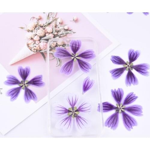 24pcs Pressed Dry Mallow,Nature Real Touch Flower Petals, DIY Party Craft Photo Bookmark Gift Card,Flores secas Facial Decor
