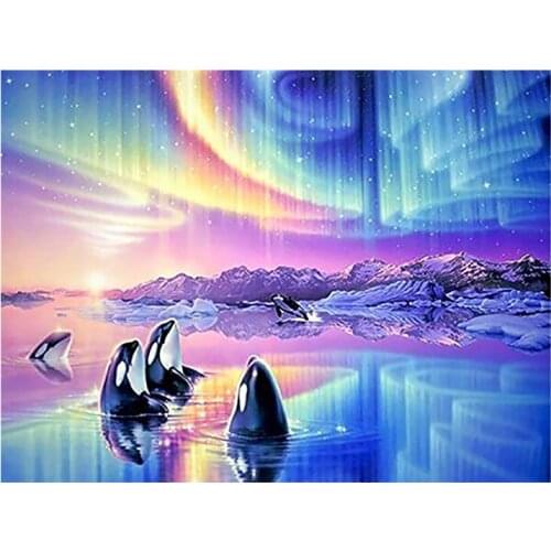 5D DIY Killer whale animal Diamond Painting Full Round square Aurora Borealis scenic New Toy sticking drill cross embroidery
