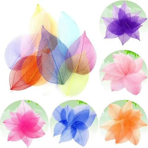 20Pcs Skeleton Leaves Embellishments Bookmark Natural Dried Flower Handmade Decorative Flowers DIY Crafts