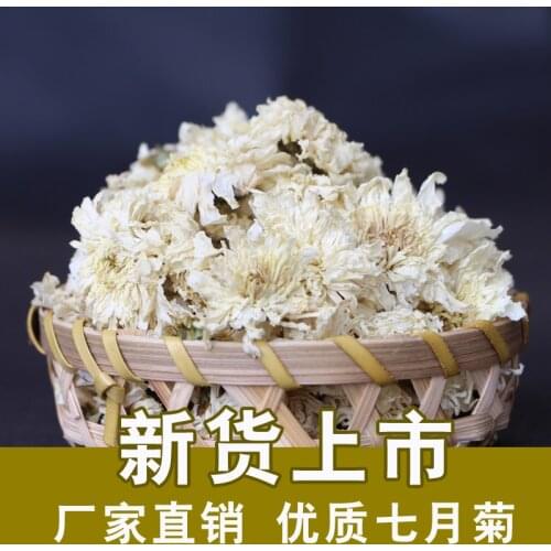Organic Premium HuangShan White Tribute White Chrysanthemum Tea 500g green food for care